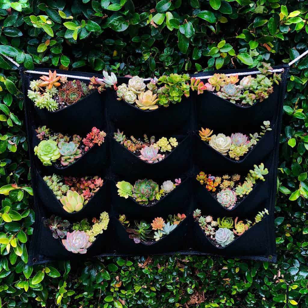 Hanging Succulent Garden Ideas -incandescentbloom