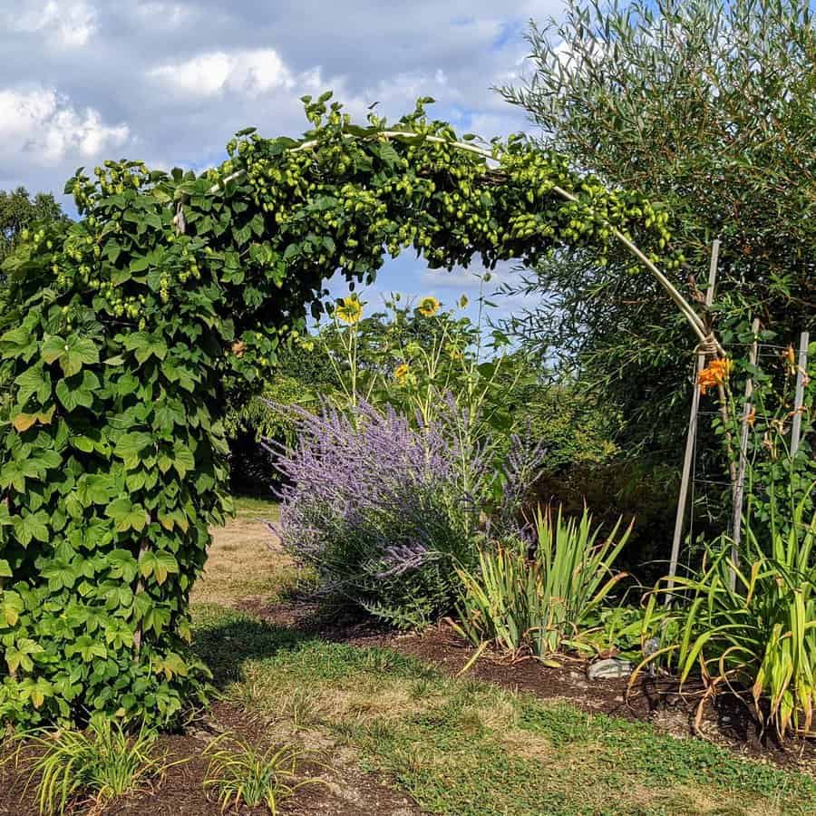 Garden-Arbor-Ideas-louisa_wickard