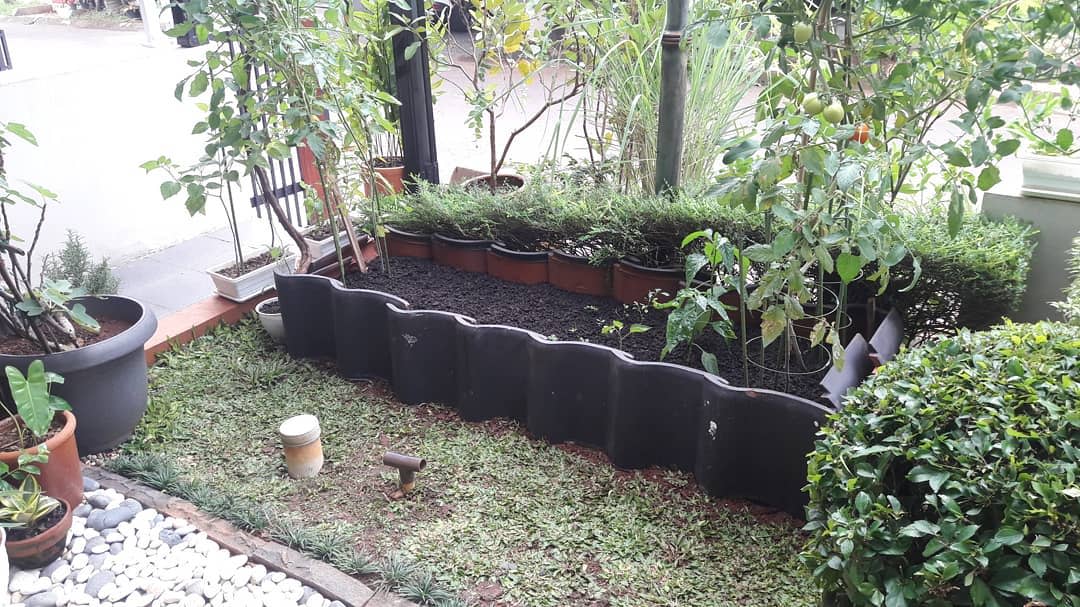 Garden-Bed-Garden-Edging-Ideas-wuland_is