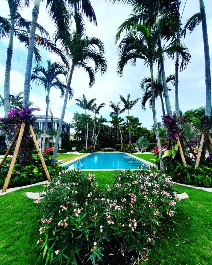 Tropical-Pool-Landscaping-Ideas-denisecflorida