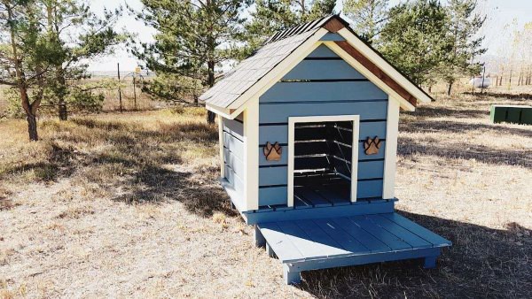 Barkitecture Cool Dog Houses