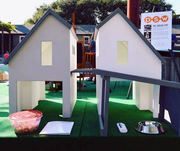 Cool Dog House