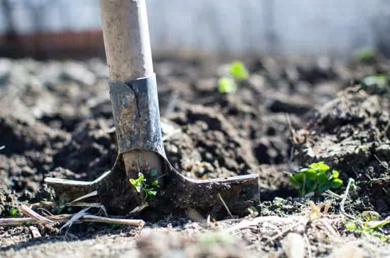 digging-with-shovel