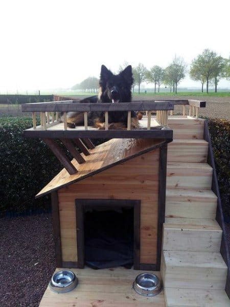 Wood Stairs Cool Dog Houses For Large Dogs