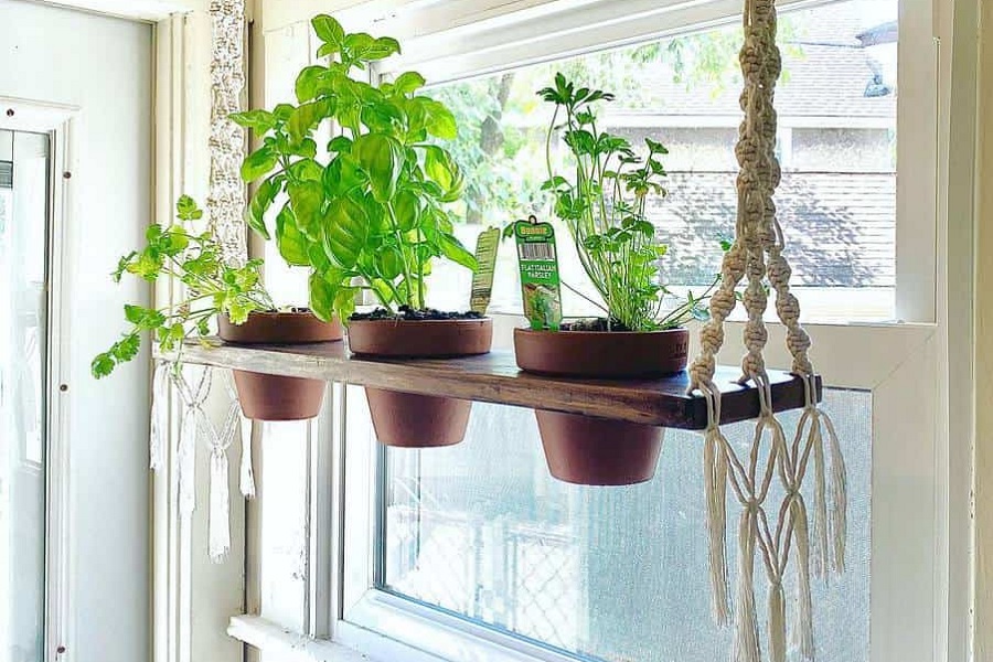 indoor-herb-garden