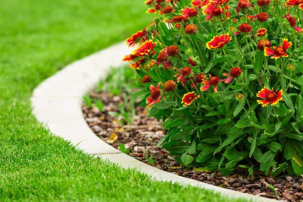 concrete-render-garden-edging-ideas-yourrealtorrachael-8087697