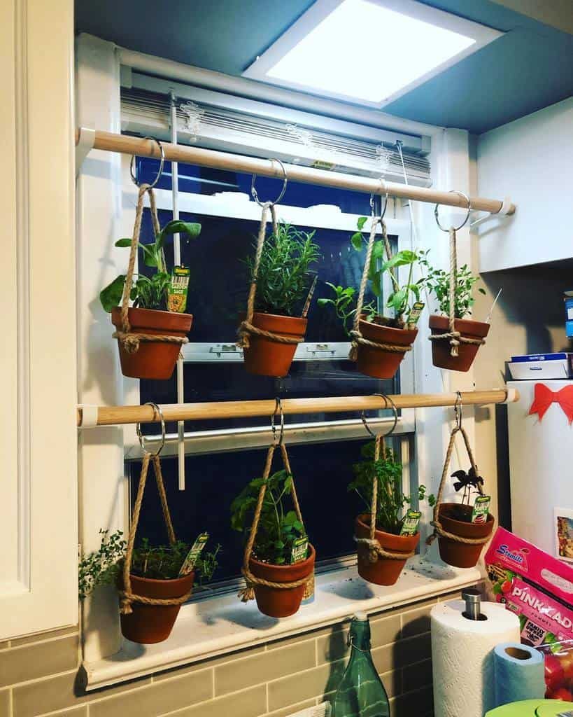 hanging-indoor-herb-garden-ideas-gardenersontheinside-8333442