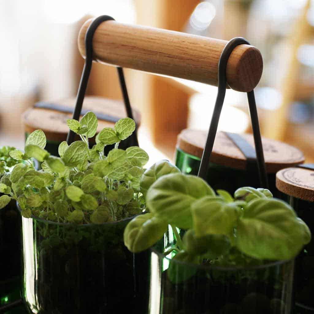 hydroponics-and-aquaponics-indoor-herb-garden-ideas-fourstorelondon-1099309