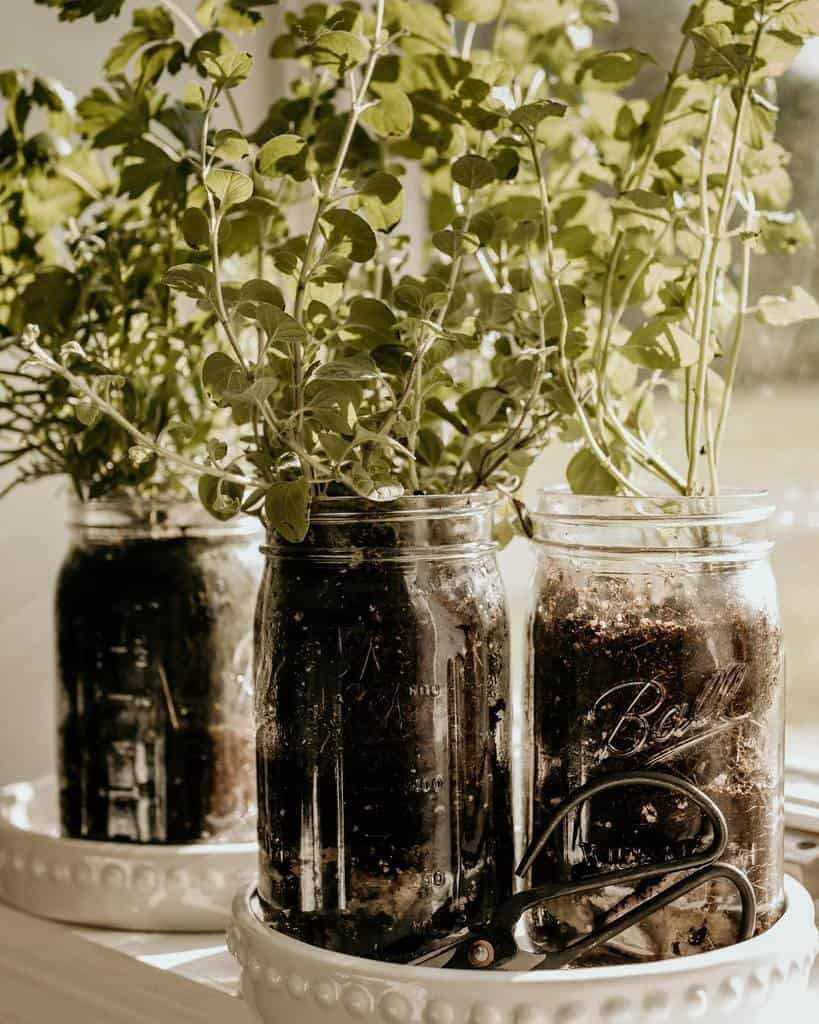 kitchen-indoor-herb-garden-ideas-ashleyywillis-7007986