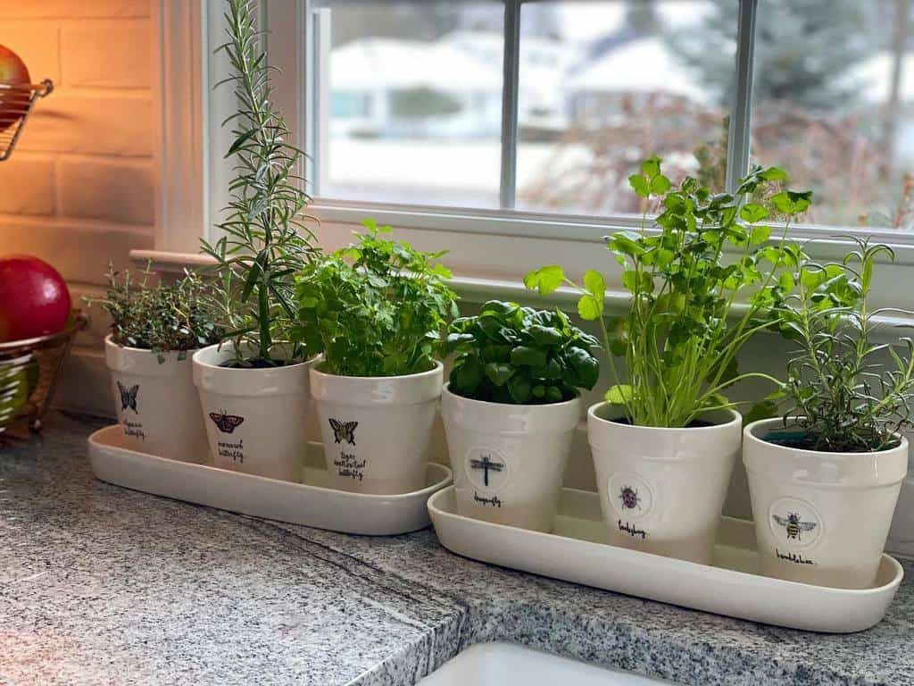 kitchen-indoor-herb-garden-ideas-dreamygarden2000-9453571