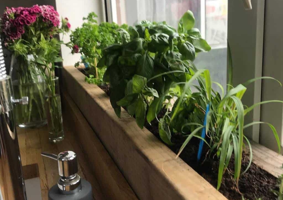 kitchen-indoor-herb-garden-ideas-thedakins_at_51-9426404