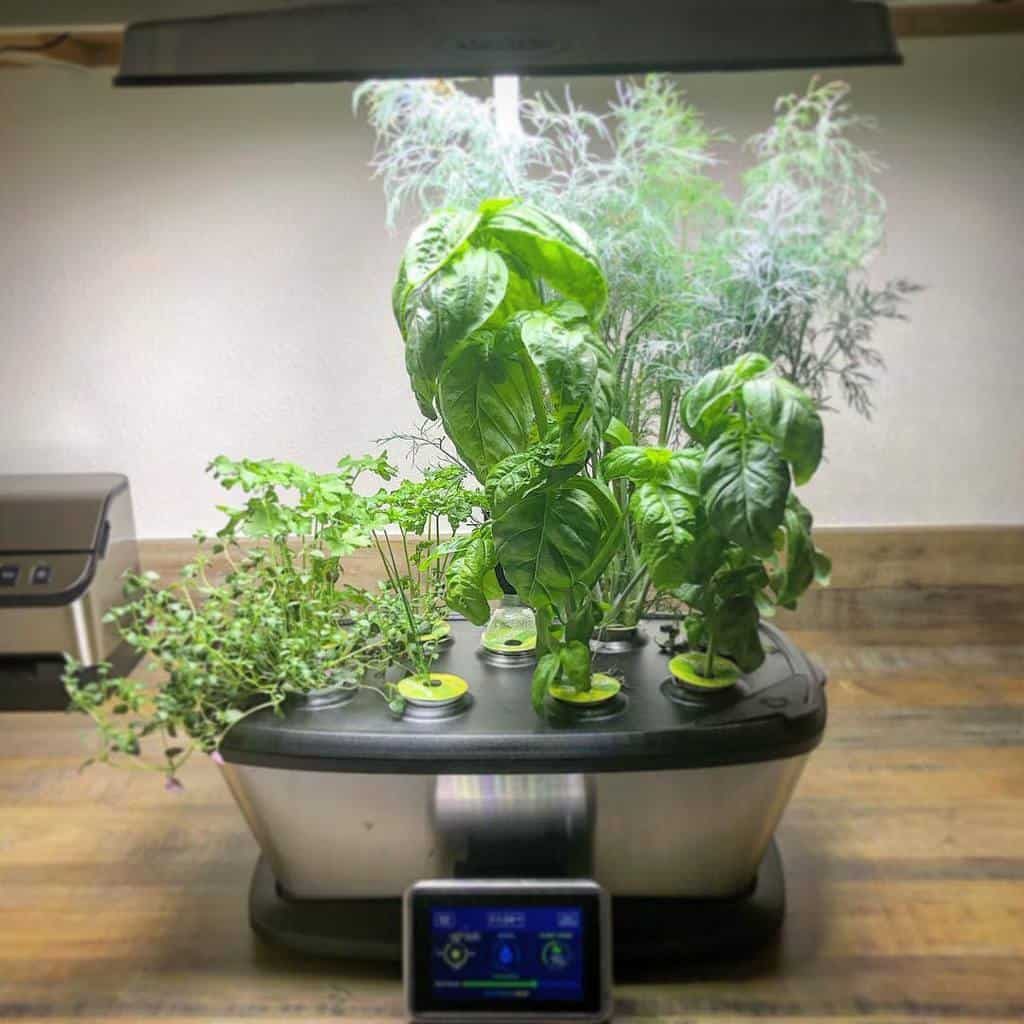 modern-indoor-herb-garden-ideas-keeks-wanderer-4420842