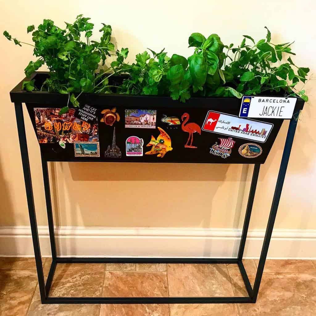 planter-ideas-indoor-herb-garden-ideas-jax_home_cooking-7440136