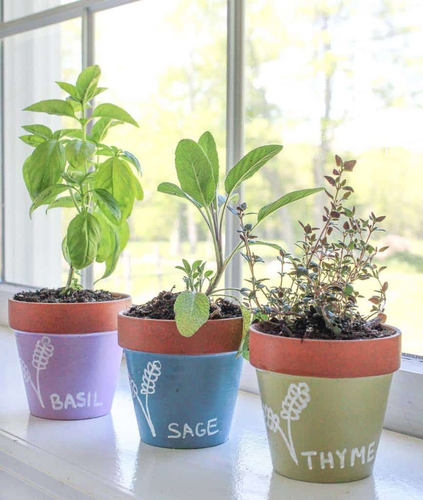 planter-ideas-indoor-herb-garden-ideas-peace_garden_farm-7415491