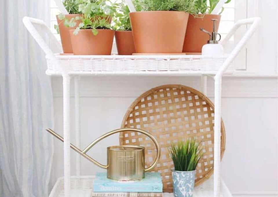 potted-indoor-herb-garden-ideas-lindseyreganthorne-1339023