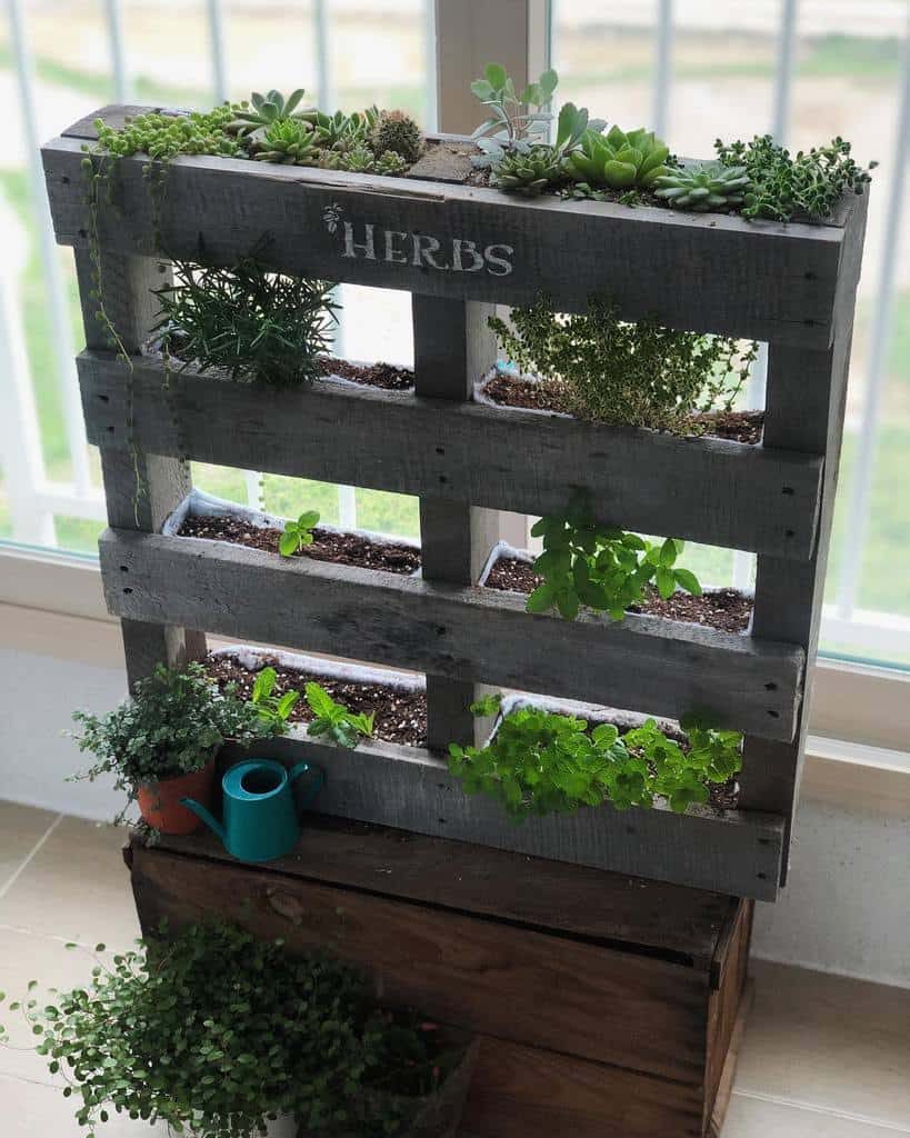 vertical-indoor-herb-garden-ideas-doughmisol-5143248