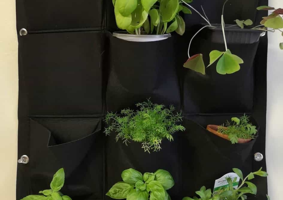 vertical-indoor-herb-garden-ideas-lovingthechase_-6299044