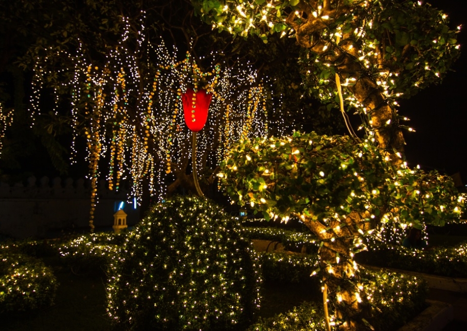 christmas-decorations-on-trees-outside