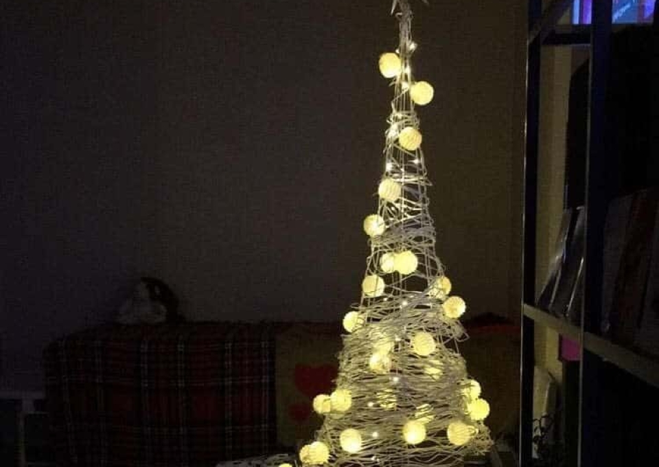 diy-christmas-tree-ideas-annaahelen-9743189