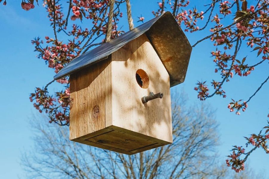 Birdhouse Ideas