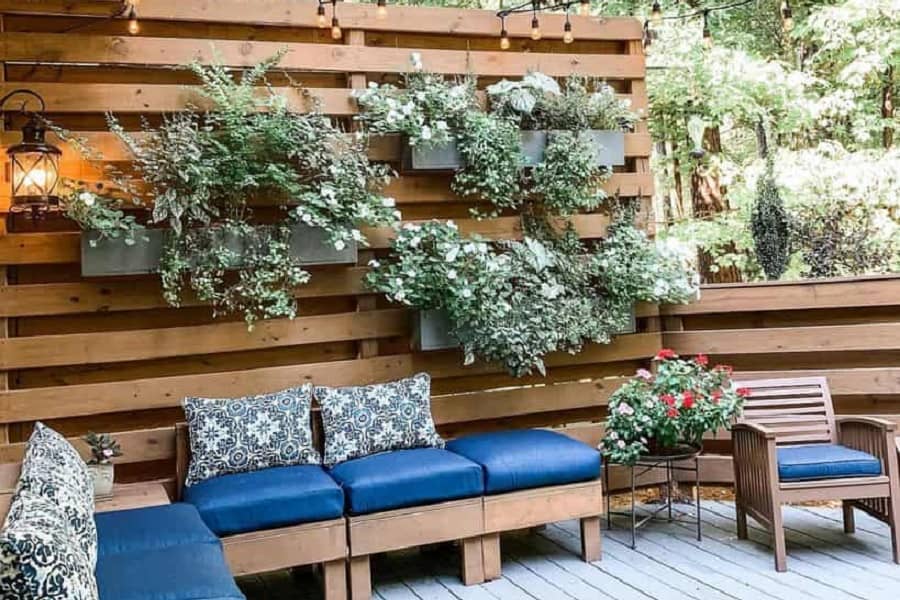 Backyard privacy fence