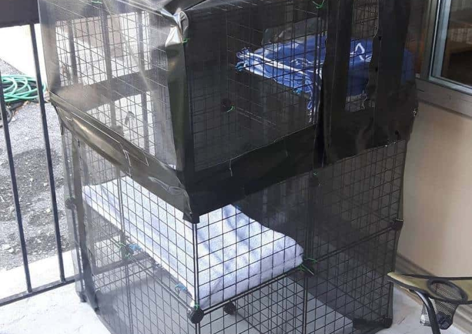 Cage Catio Ideas Caseys Cats