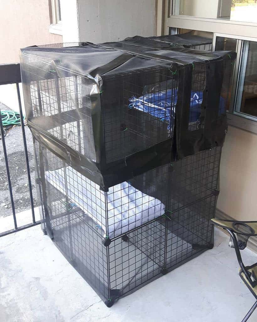 Cage Catio Ideas Caseys Cats