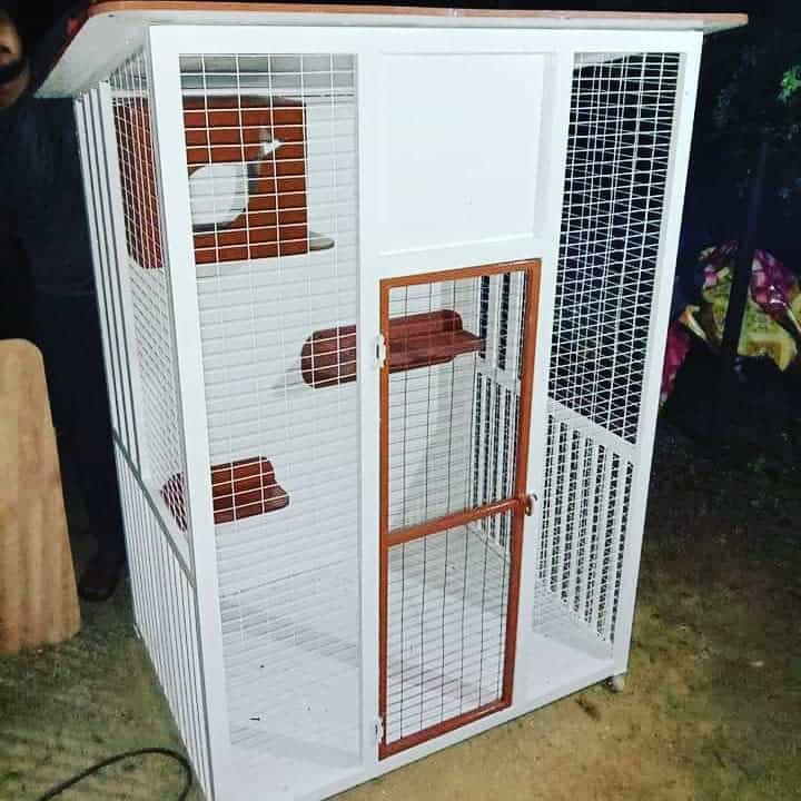 Cage Catio Ideas Catcage