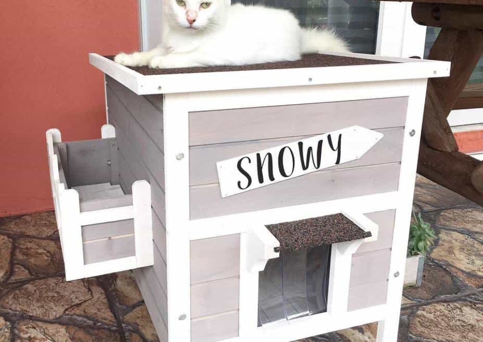 Cat House Catio Ideas Acatnamedsnowy