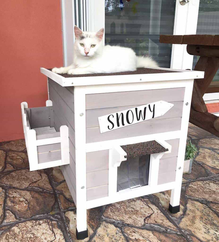 Cat House Catio Ideas Acatnamedsnowy