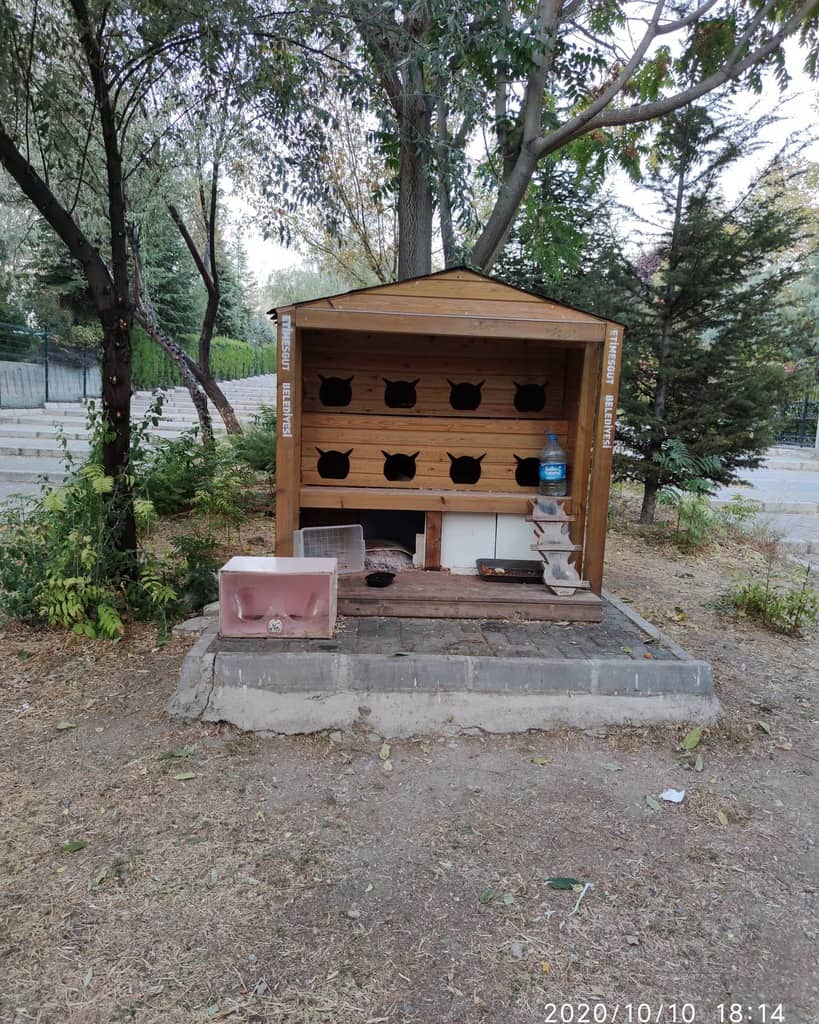 Cat House Catio Ideas Beautifulworld World