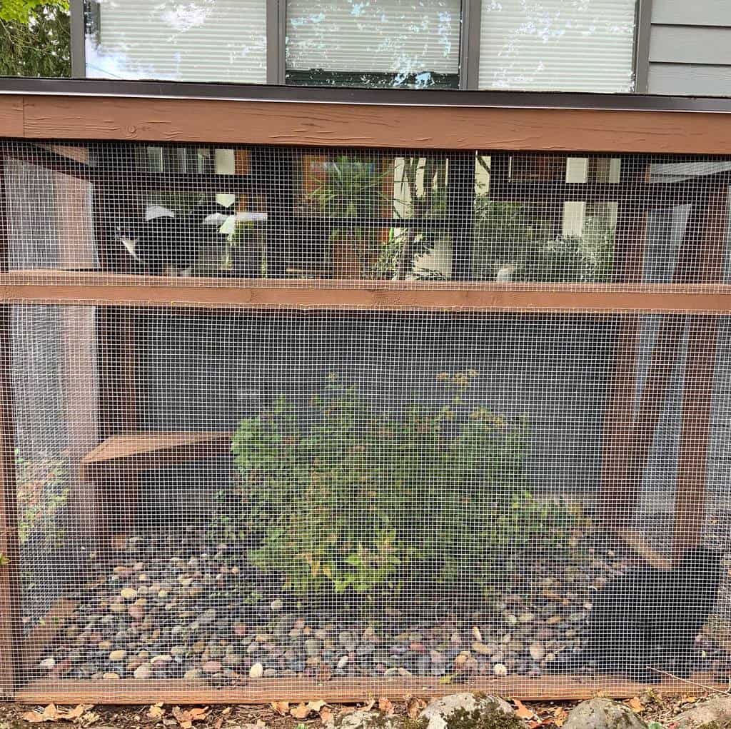 Diy Catio Ideas Dashybadkitty