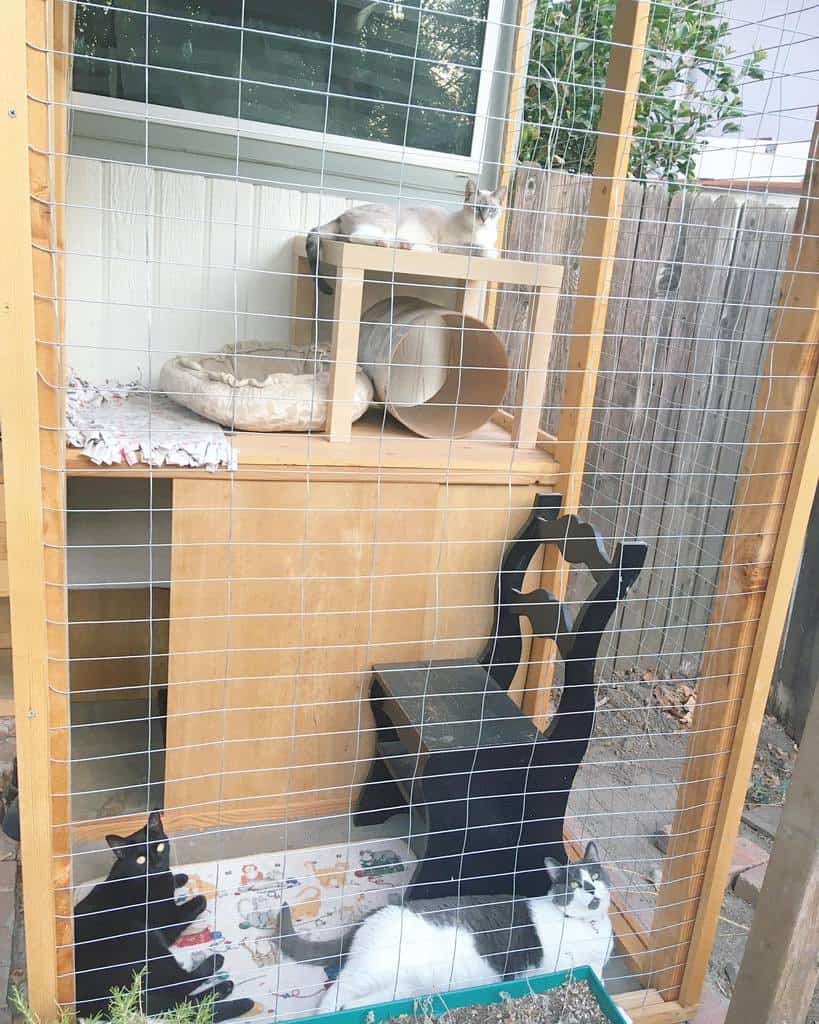 Diy Catio Ideas The Lizaaaaaaaaa