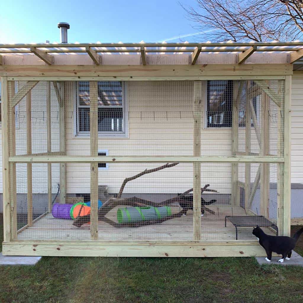 Enclosure Catio Ideas Catio Living