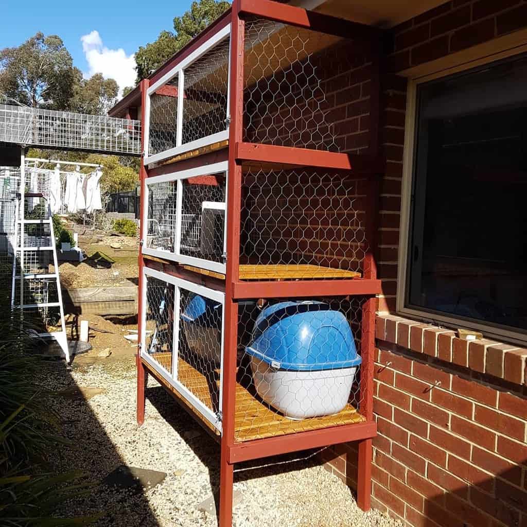 Enclosure Catio Ideas Natural Learning