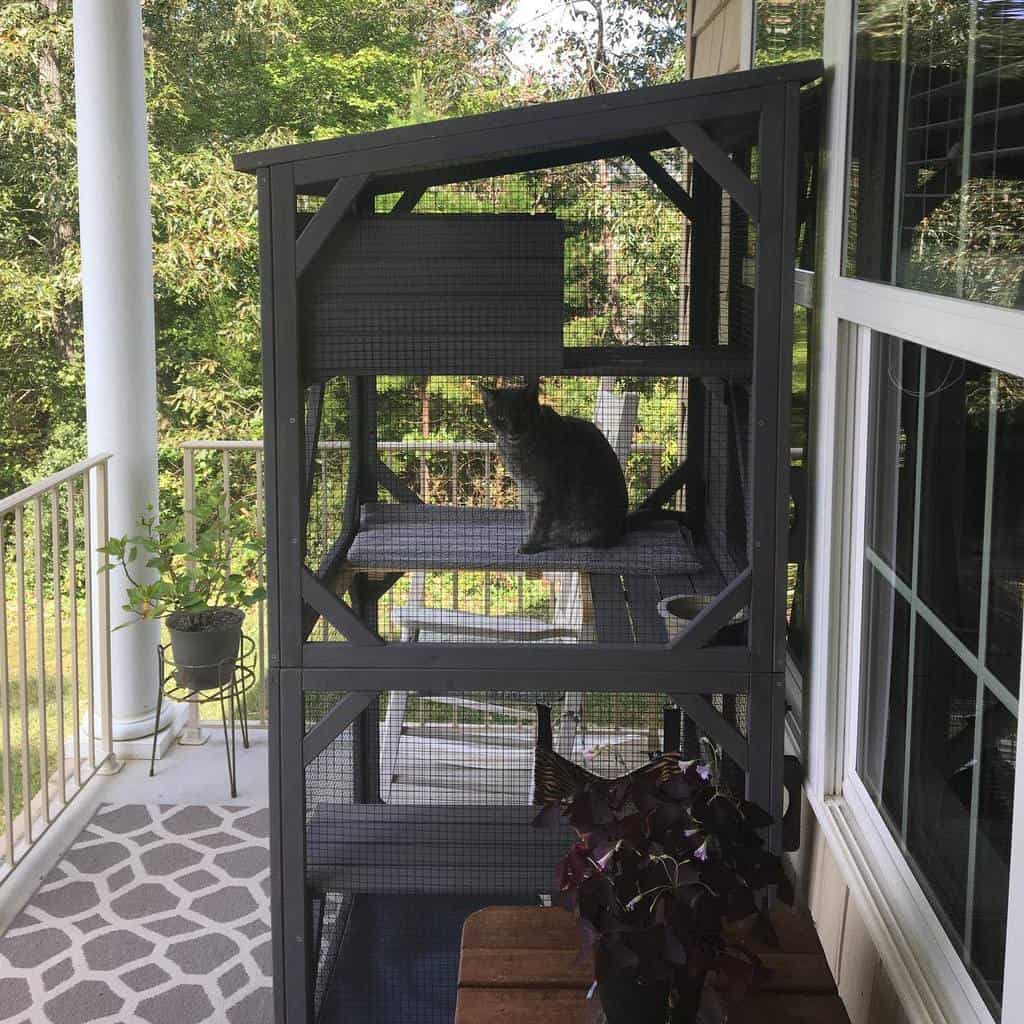 Enclosure Catio Ideas Rainbowmccat