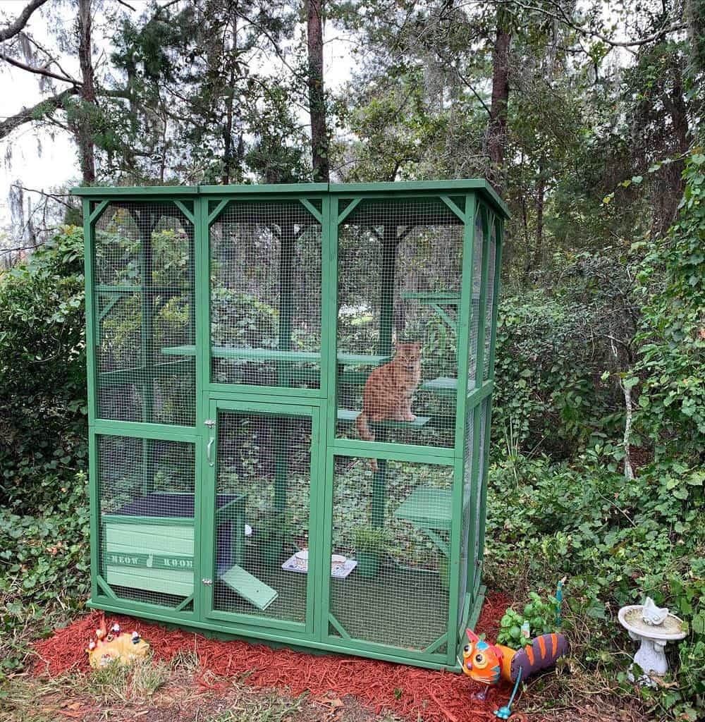 Outdoor Catio Ideas Standuplibrarian