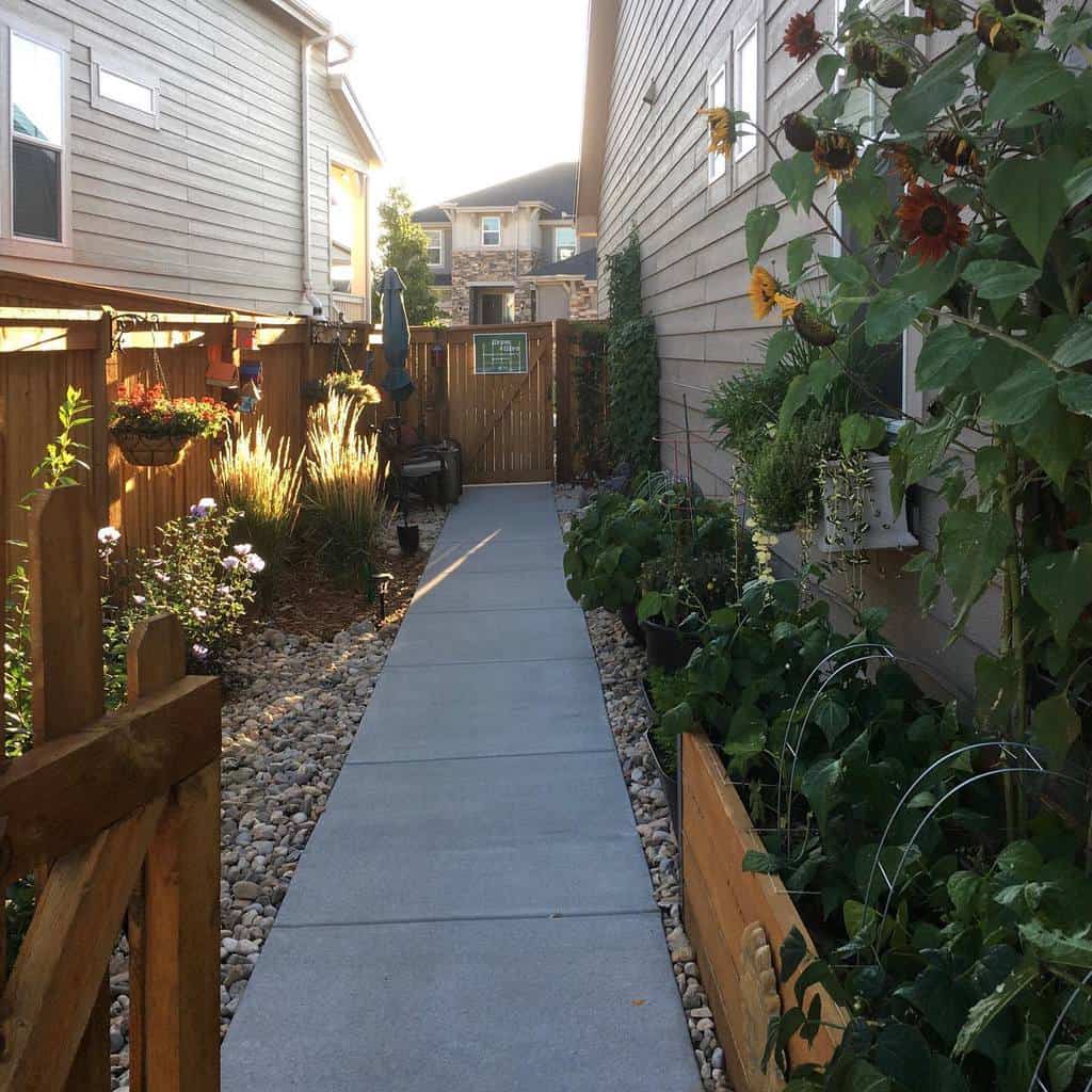 Path Side Yard Ideas Morelupinesplease