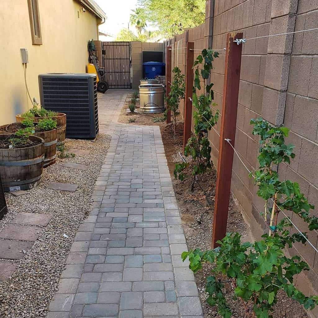 Paver Side Yard Ideas Thegardeningpharmacist