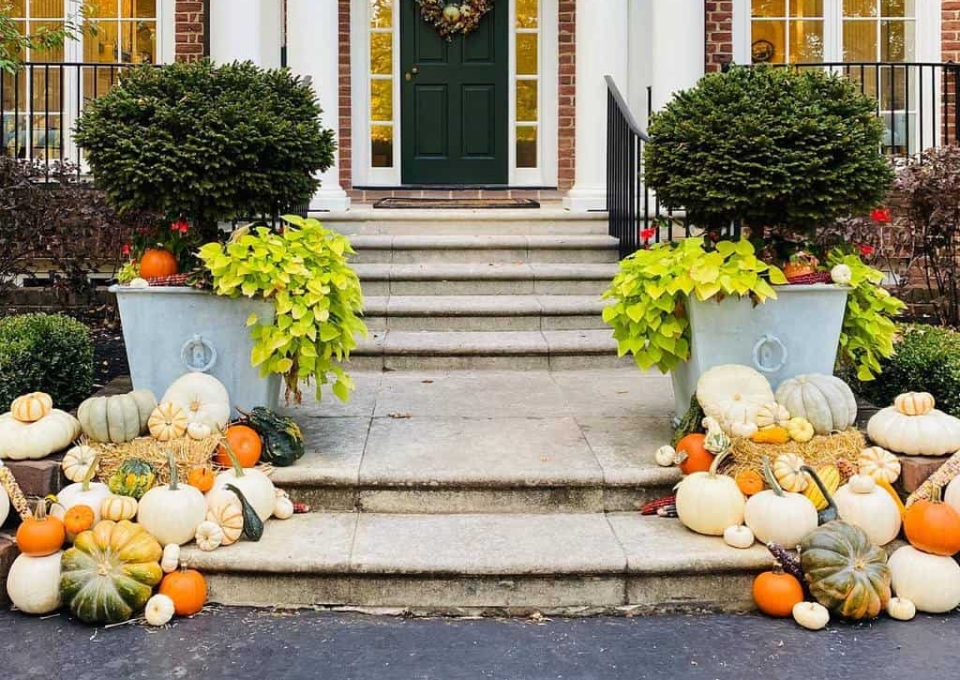 Plants Front Porch Decorating Ideas Fairyporchmothers