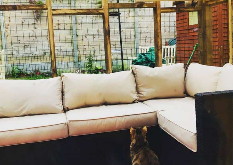 Porch Catio Ideas Cocoaguscaca