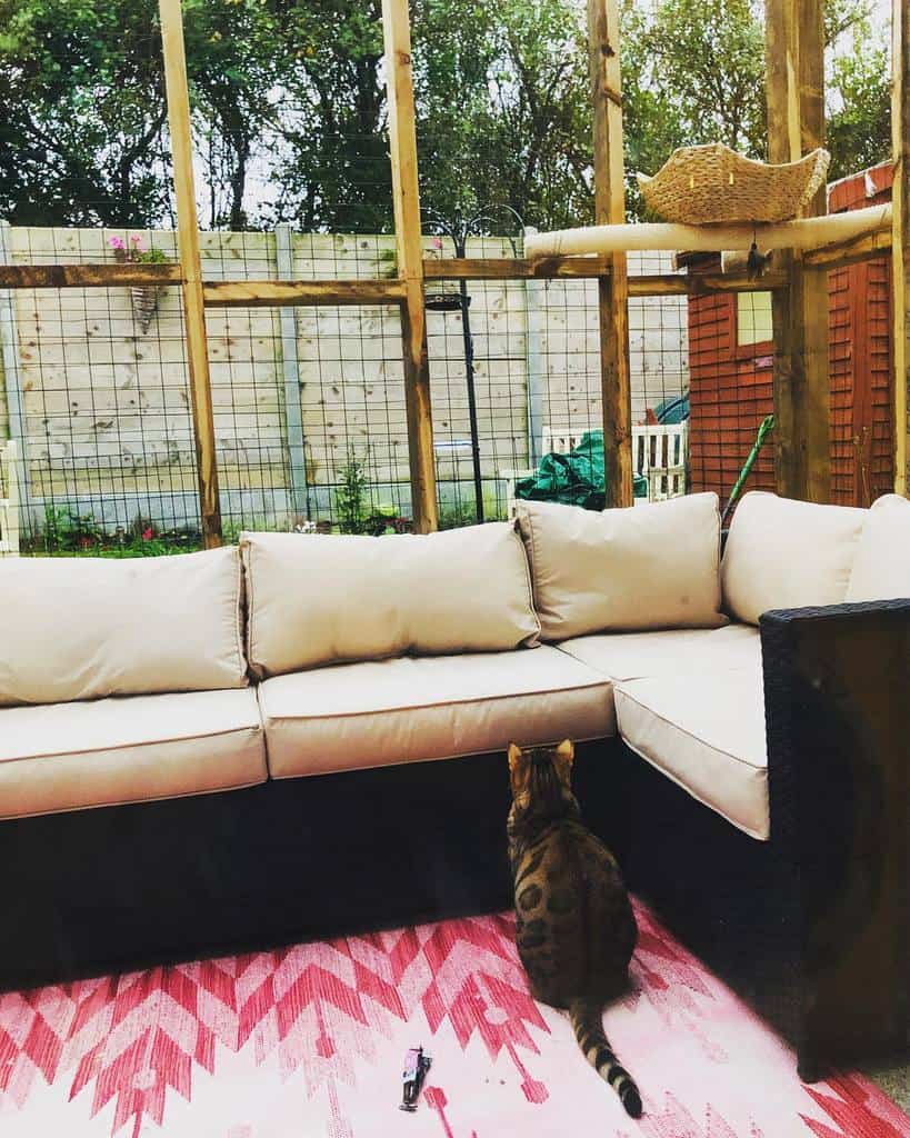 Porch Catio Ideas Cocoaguscaca