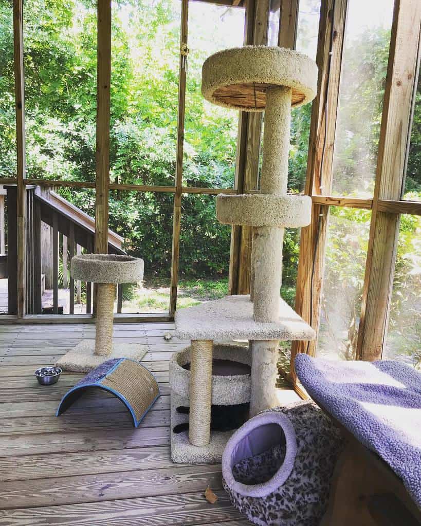 Porch Catio Ideas Laurenlapointecoach