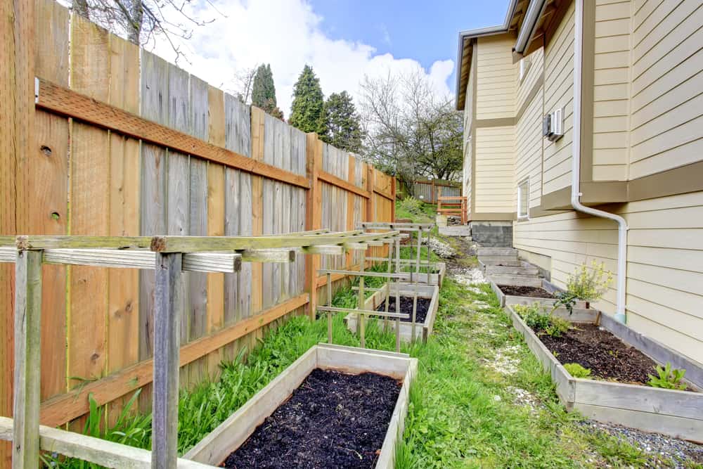 Small Side Yard Ideas