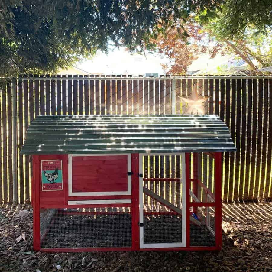 Small Chicken Coop Ideas Hellahenshomestead