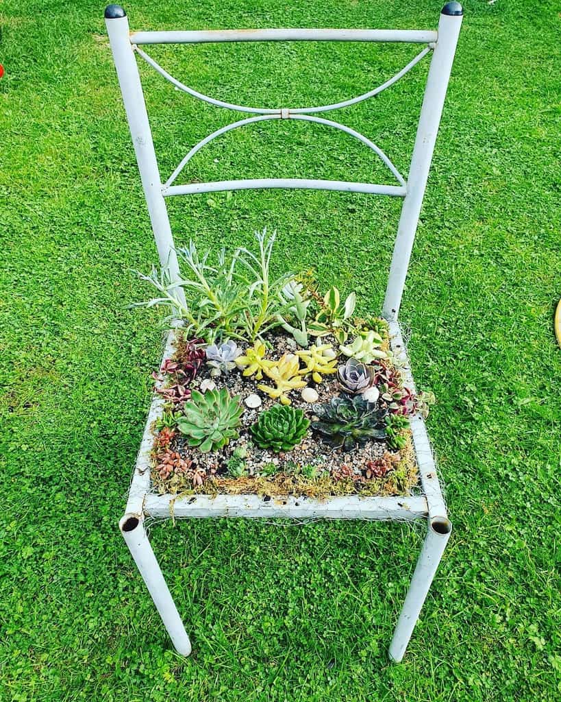 Creative Succulent Garden Ideas Pinayplantita