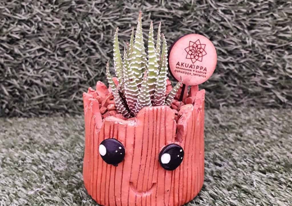 Cute Pots For Succulents Garden Ideas Akuaippa Terrarios