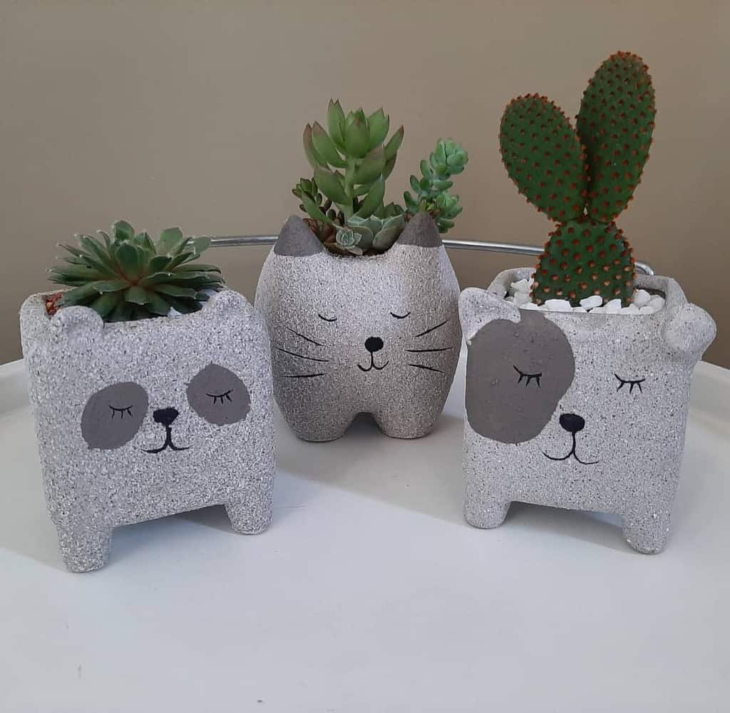 Cute Pots For Succulents Garden Ideas Flor Amorosa