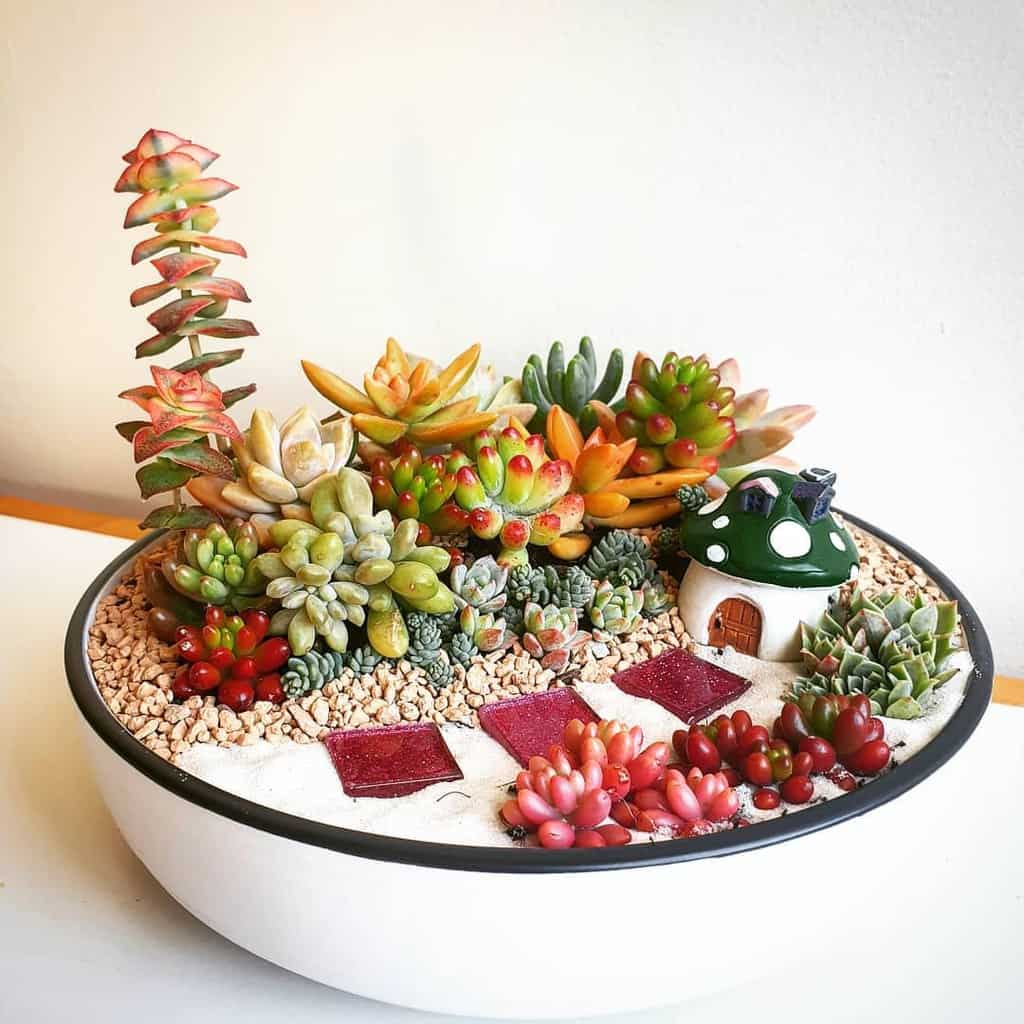 Dish Garden Succulent Garden Ideas Sowcoolents