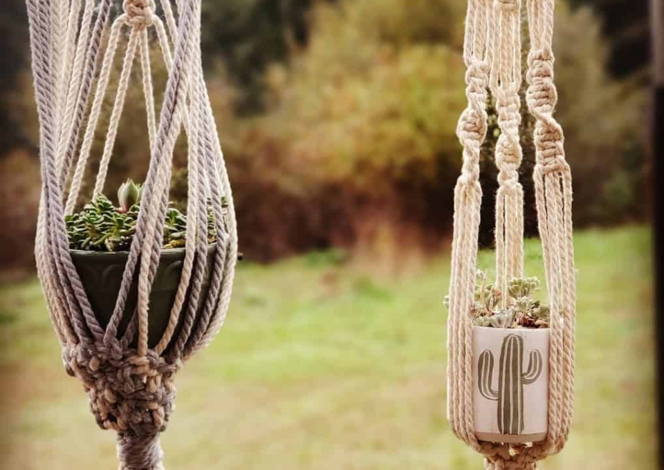 Hanging Succulent Garden Ideas Bumbleboutique Eug